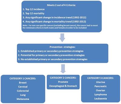 Precision in Setting Cancer Prevention Priorities: Synthesis of Data, Literature, and Expert Opinion